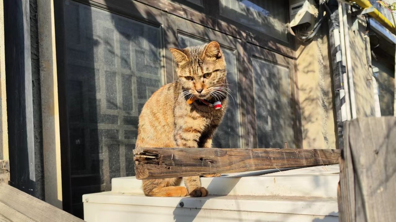 ESXi使用CIL命令行安装更新包